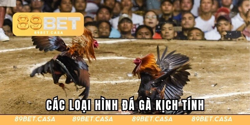 Những loại hình đá gà 89BET kịch tính tại nhà cái
